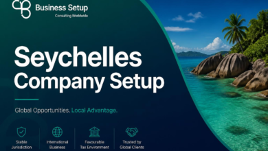 Seychelles Company Setup